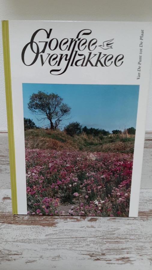 Gastenverblijf Nummer 1 Sommelsdijk Kültér fotó